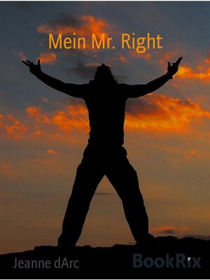 cover image of Mein Mr. Right